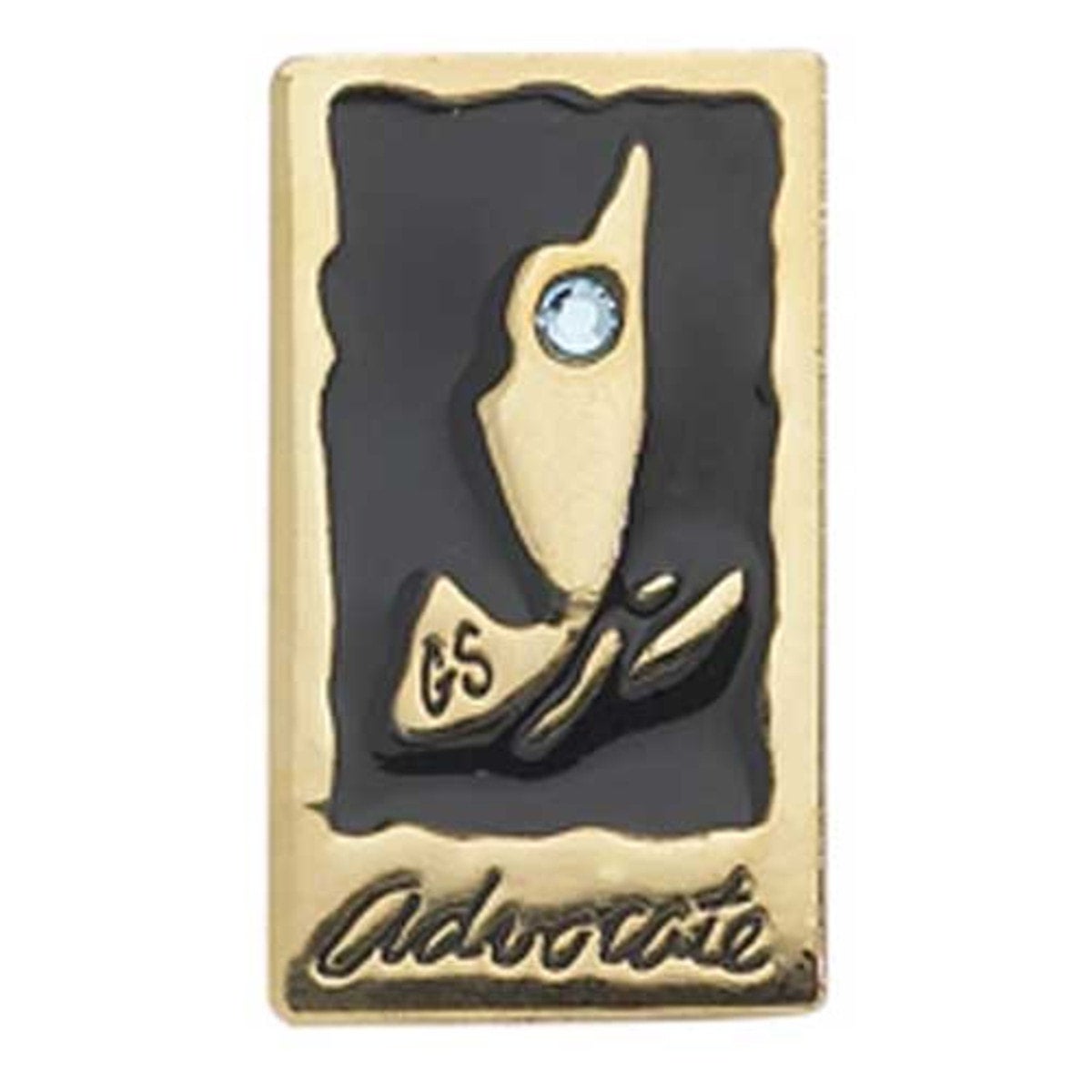 Ambassador Your Voice, Your World Journey Award Advocate Pin | Girl ...