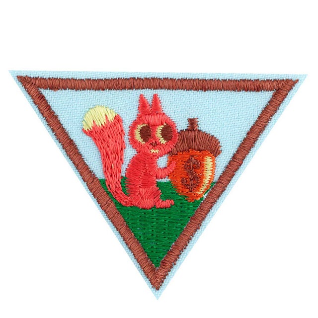 Badge Magic Girl Scout Junior To Ambassador Uniform Kit